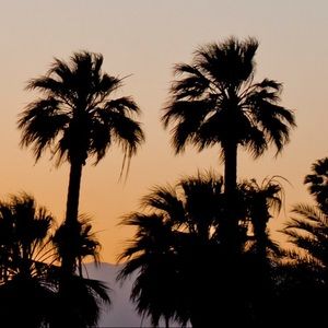 Meet your Posher, Brittney